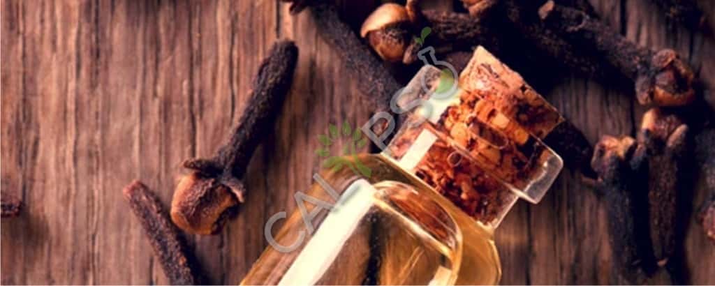 Clove Bud Spice Oil